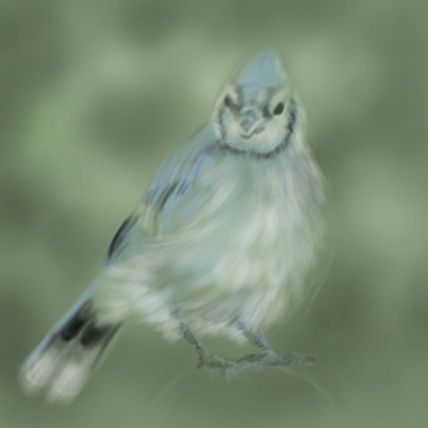 Creation of Little blue bird: Step 4